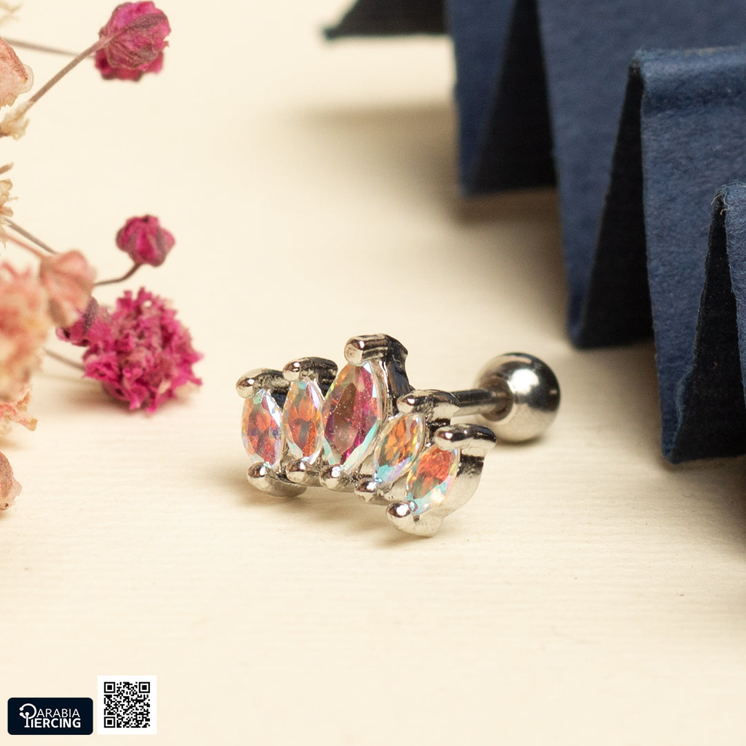 Crown Multicolor Ballback