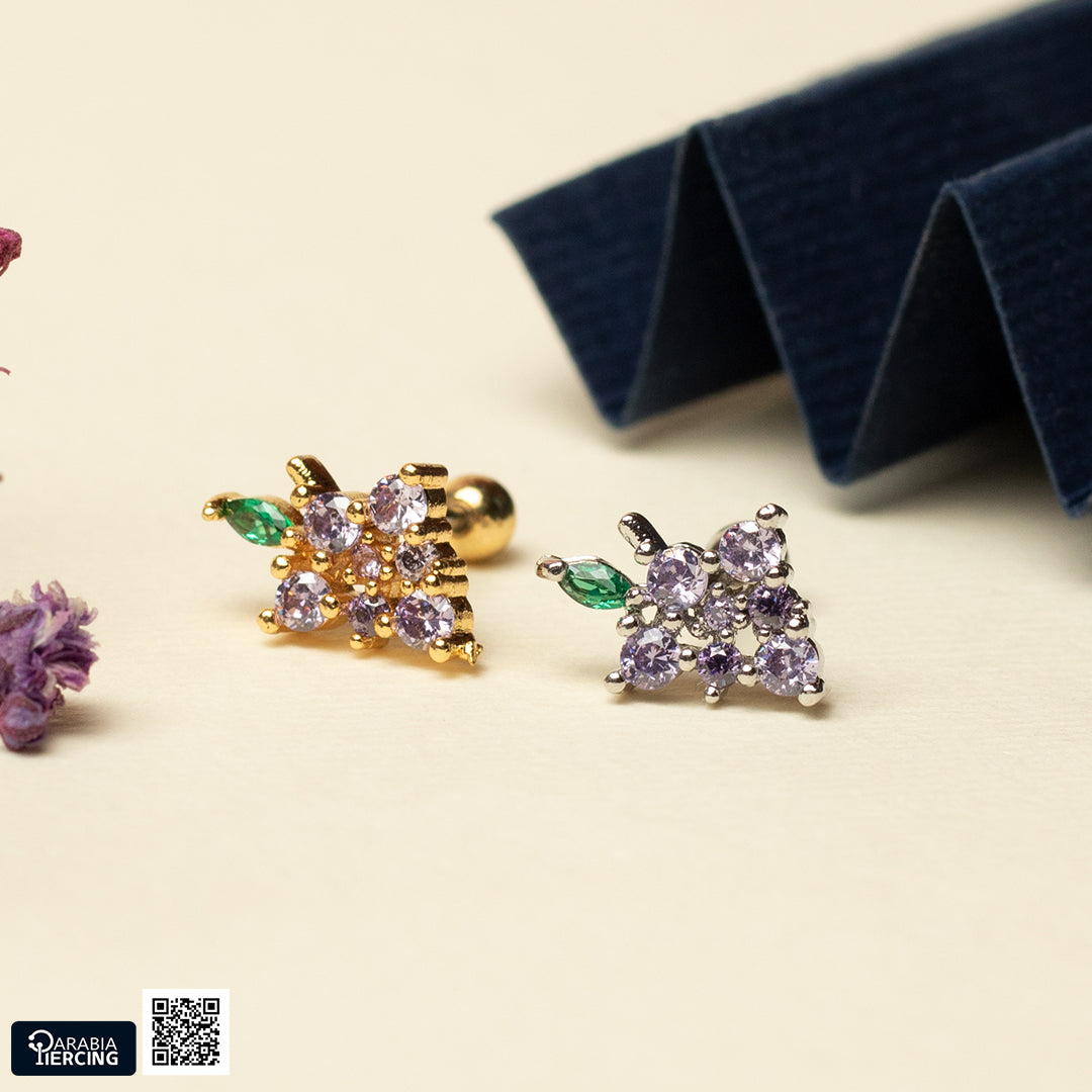 Fruits ball back Earring