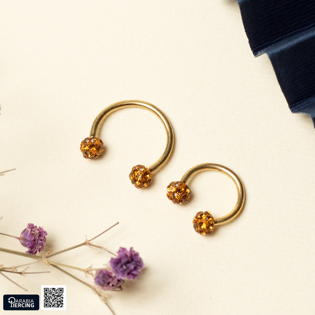 Double Discoball Horseshoe