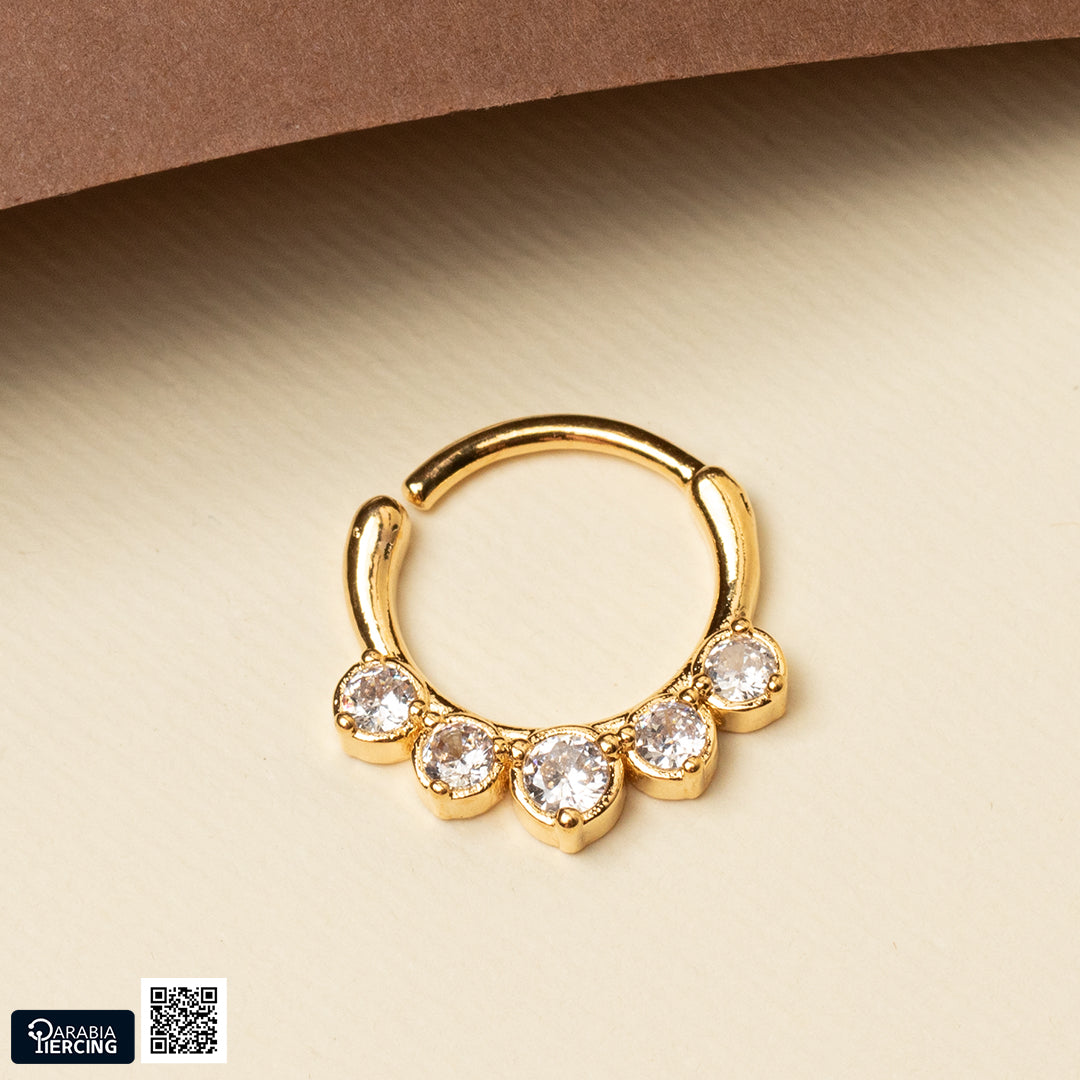 Royal Crystal Twisted Hoop