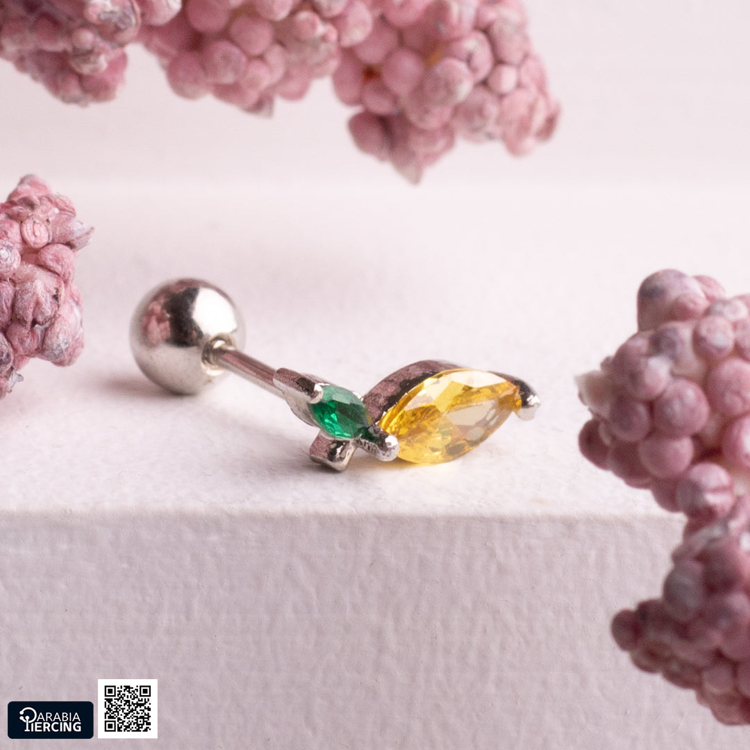 Colorful Fruits Ballback