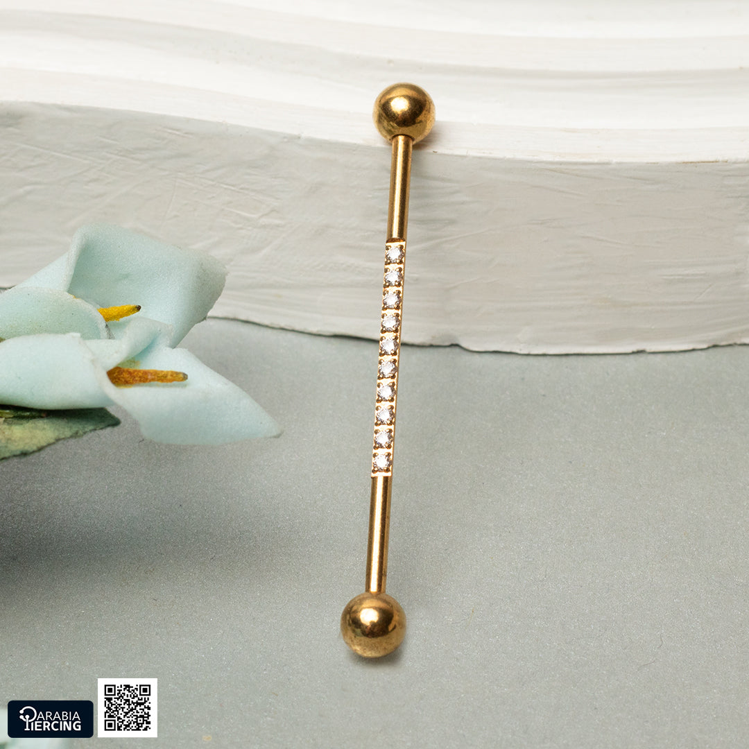 Zircon Industrial Earring