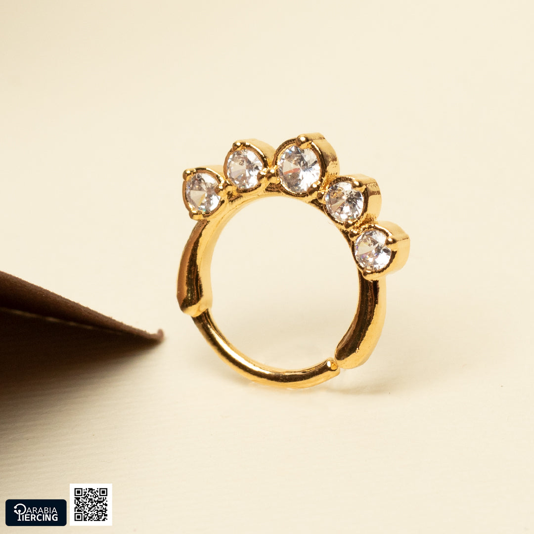 Royal Crystal Twisted Hoop