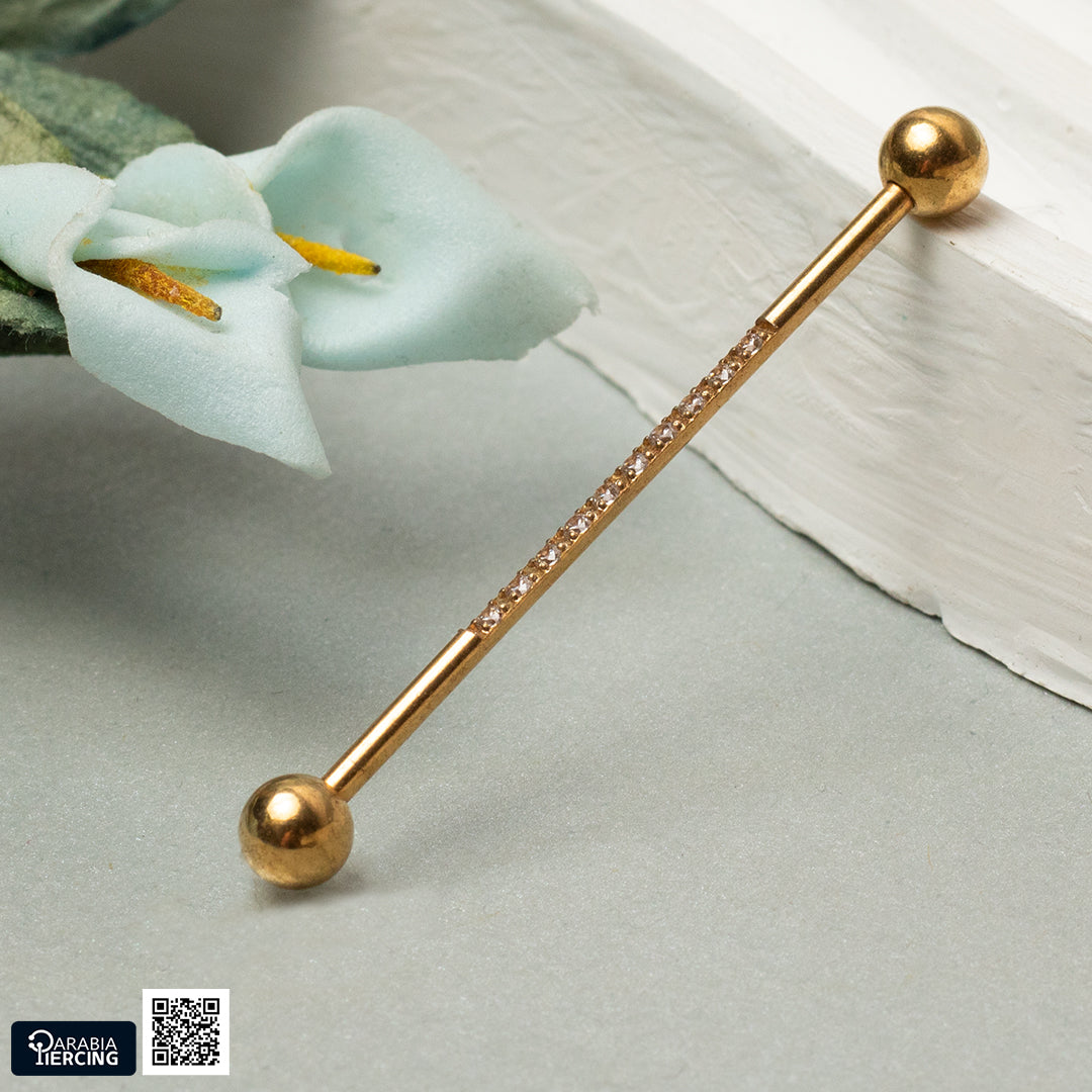 Zircon Industrial Earring