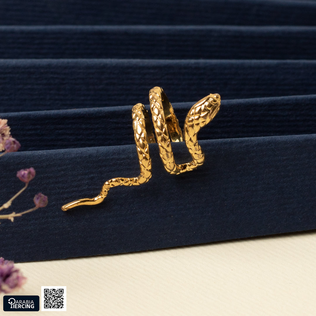Snake Fake Earring