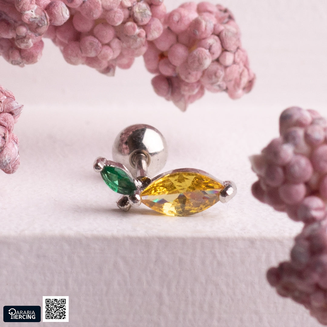 Colorful Fruits Ballback