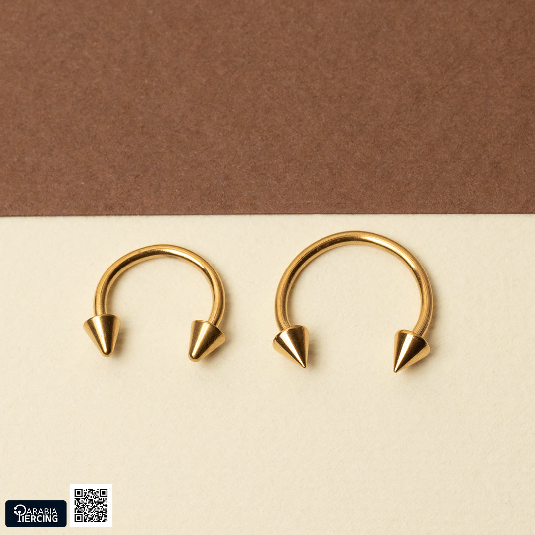 Basic Gold Horseshoe