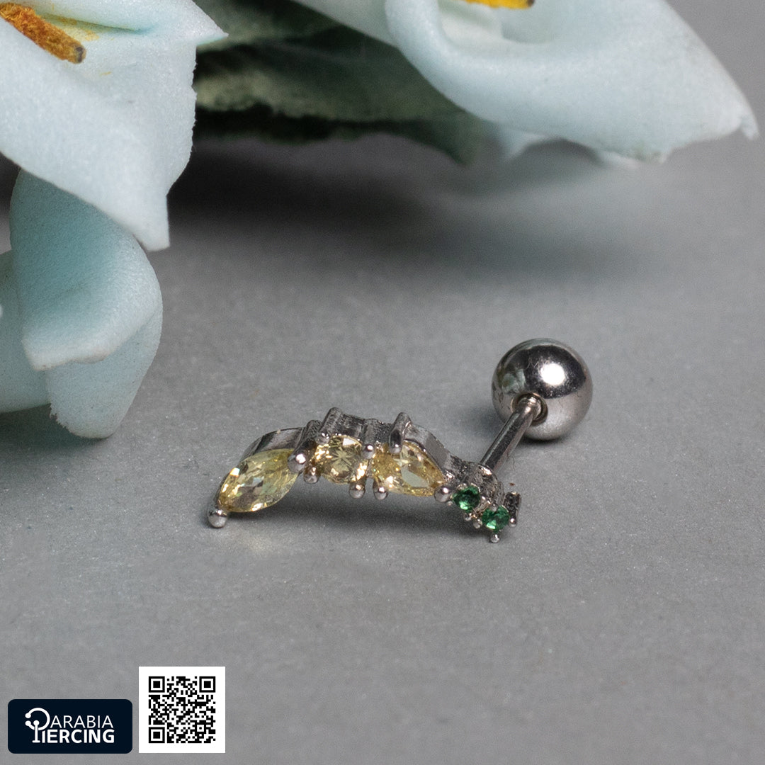 Colorful Fruits Ballback