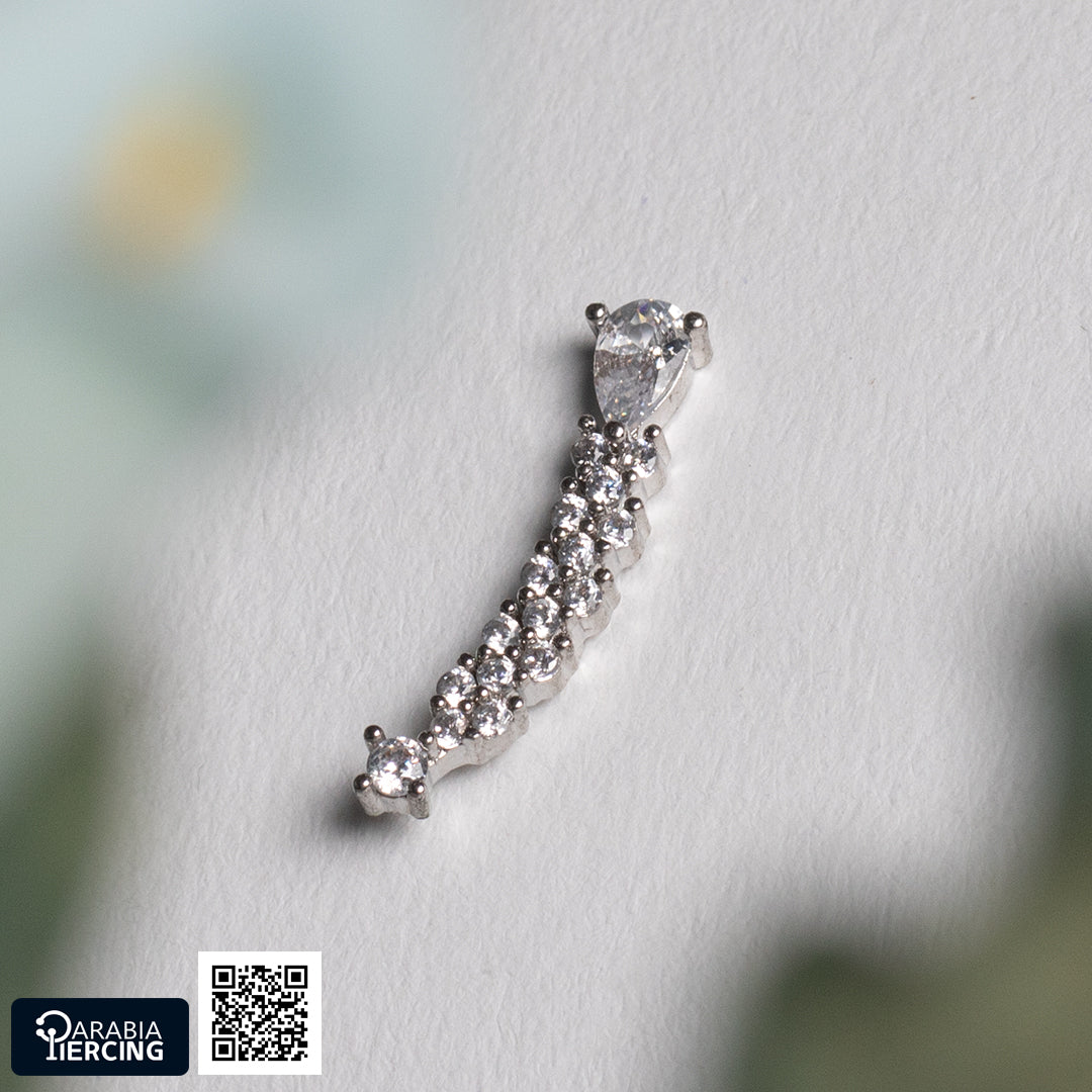 Elegant Ballback Earring