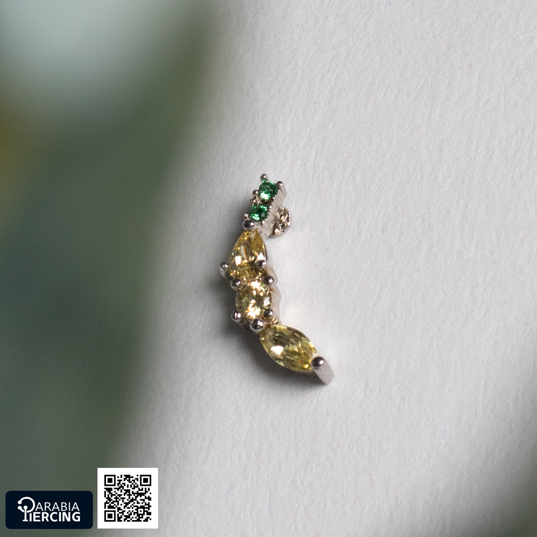 Colorful Fruits Ballback