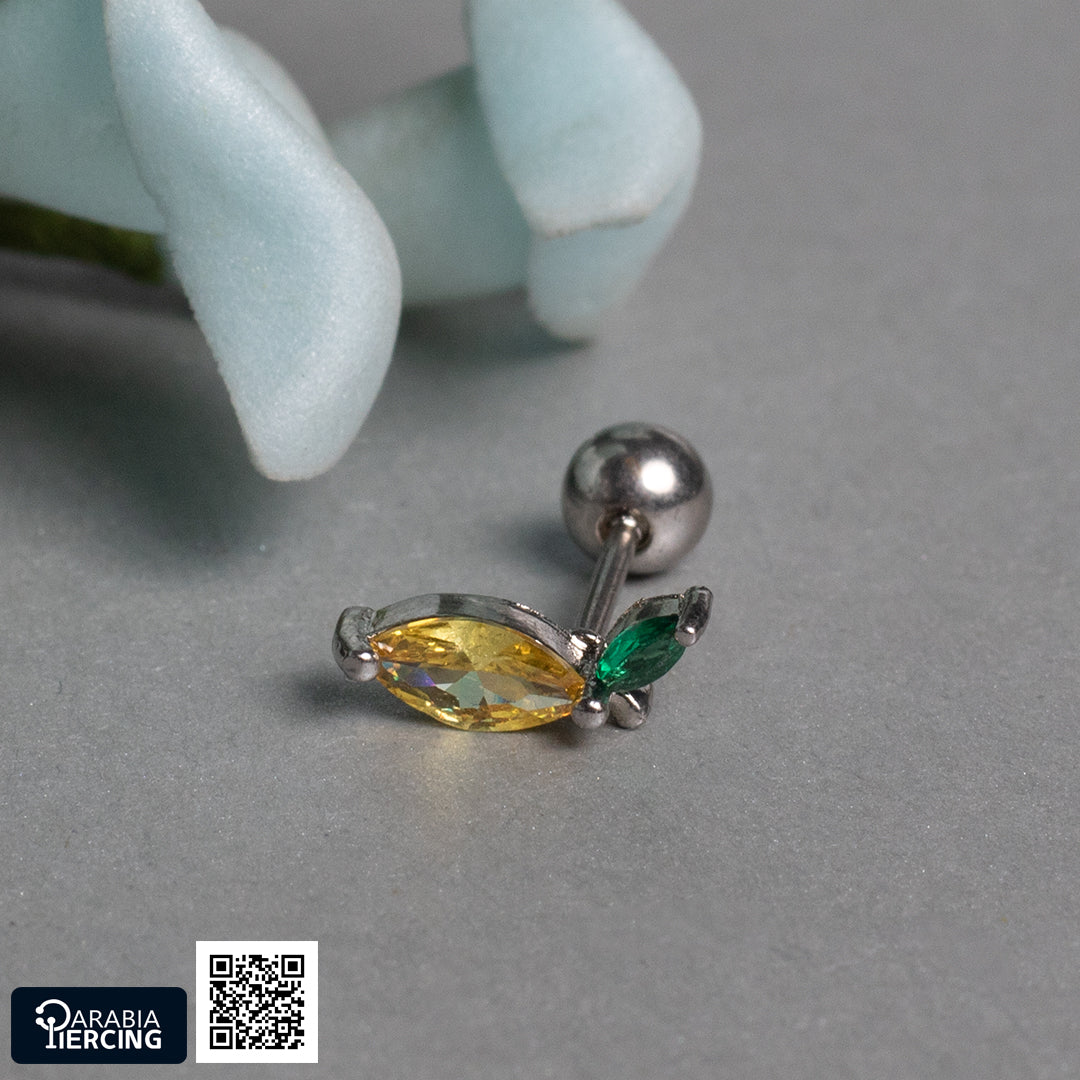 Colorful Fruits Ballback