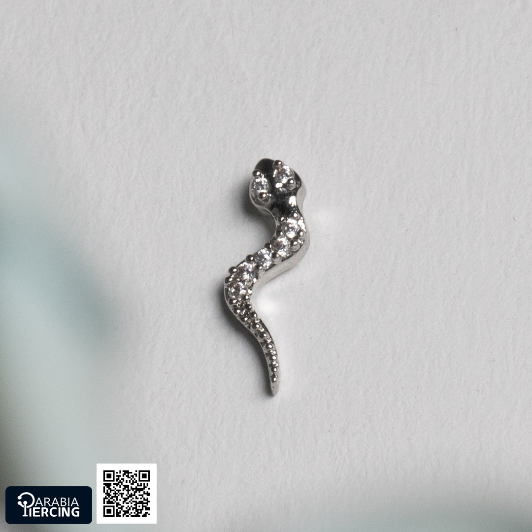 Wild Ballback Earrings