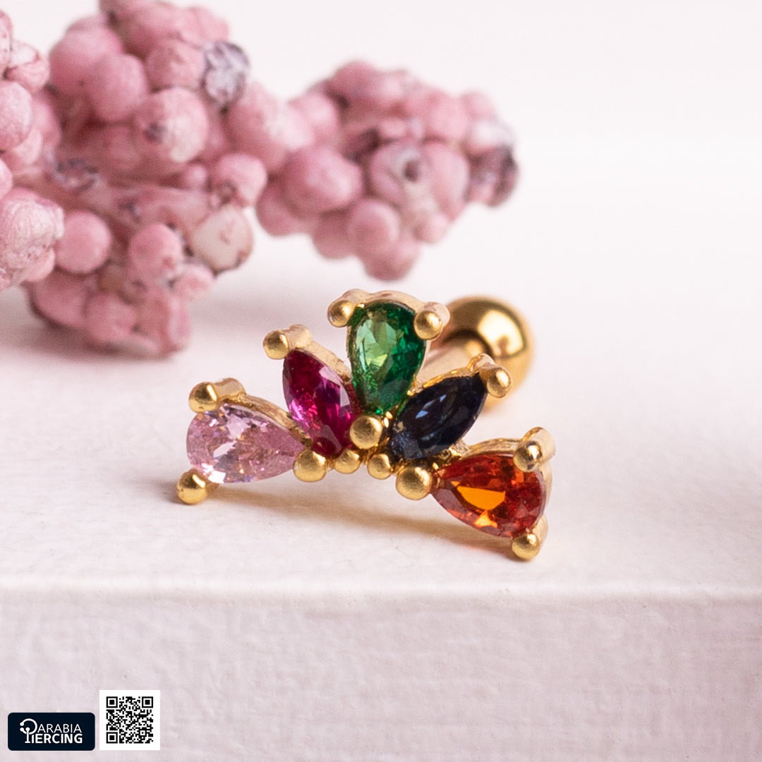 Colorful Long Crown Ballback