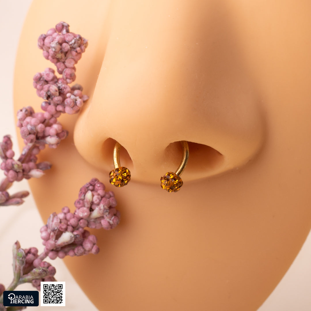 Double Discoball Horseshoe