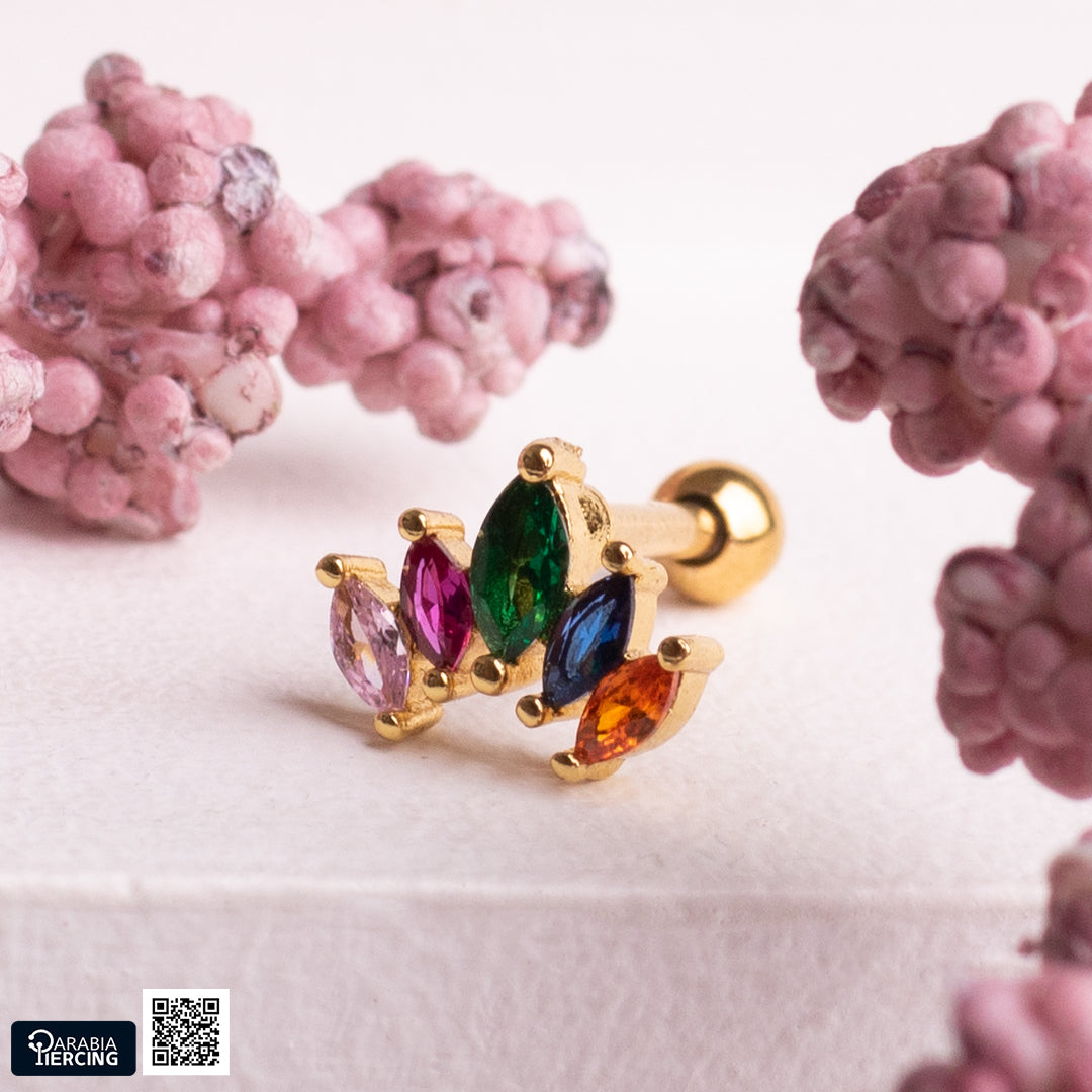 Colorful Crown Ballback