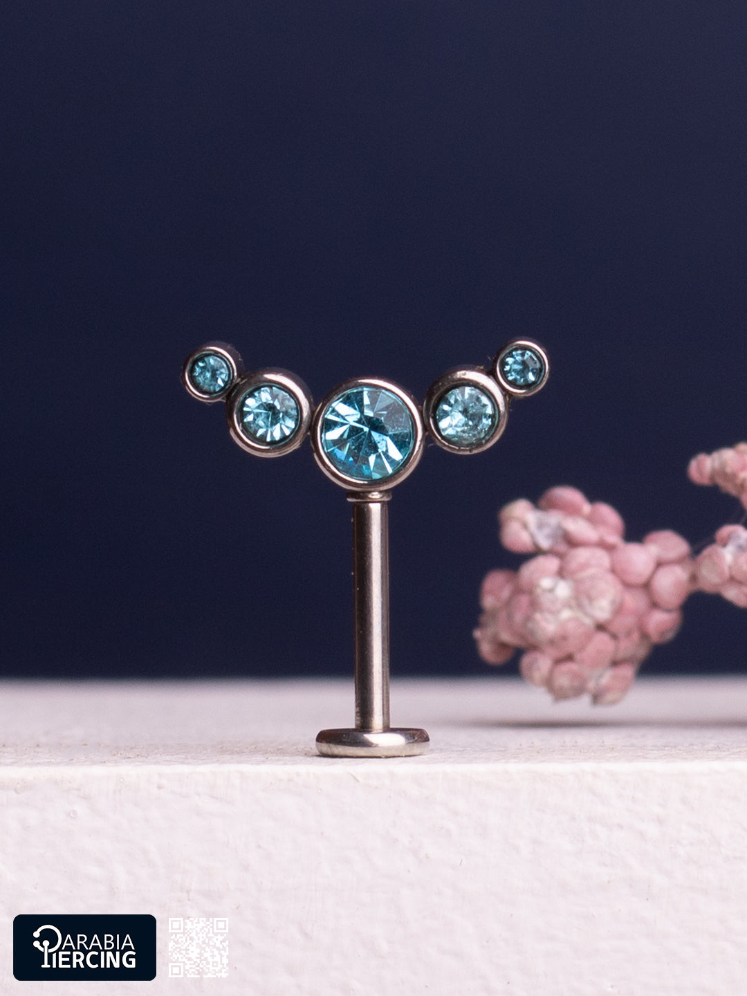 Hidden Helix Earring
