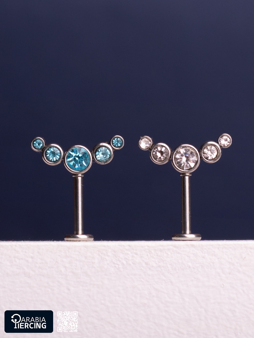 Hidden Helix Earring