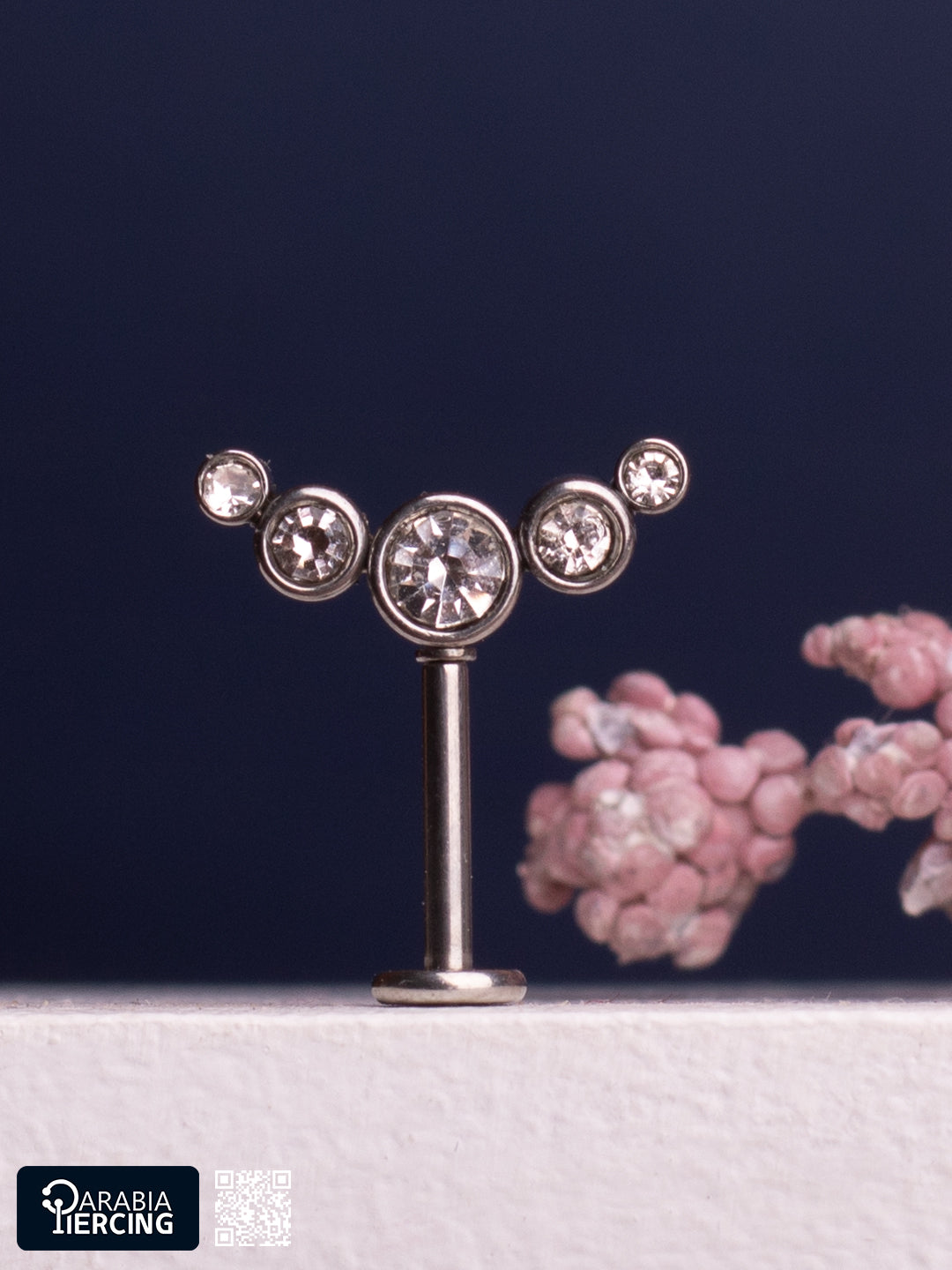 Hidden Helix Earring