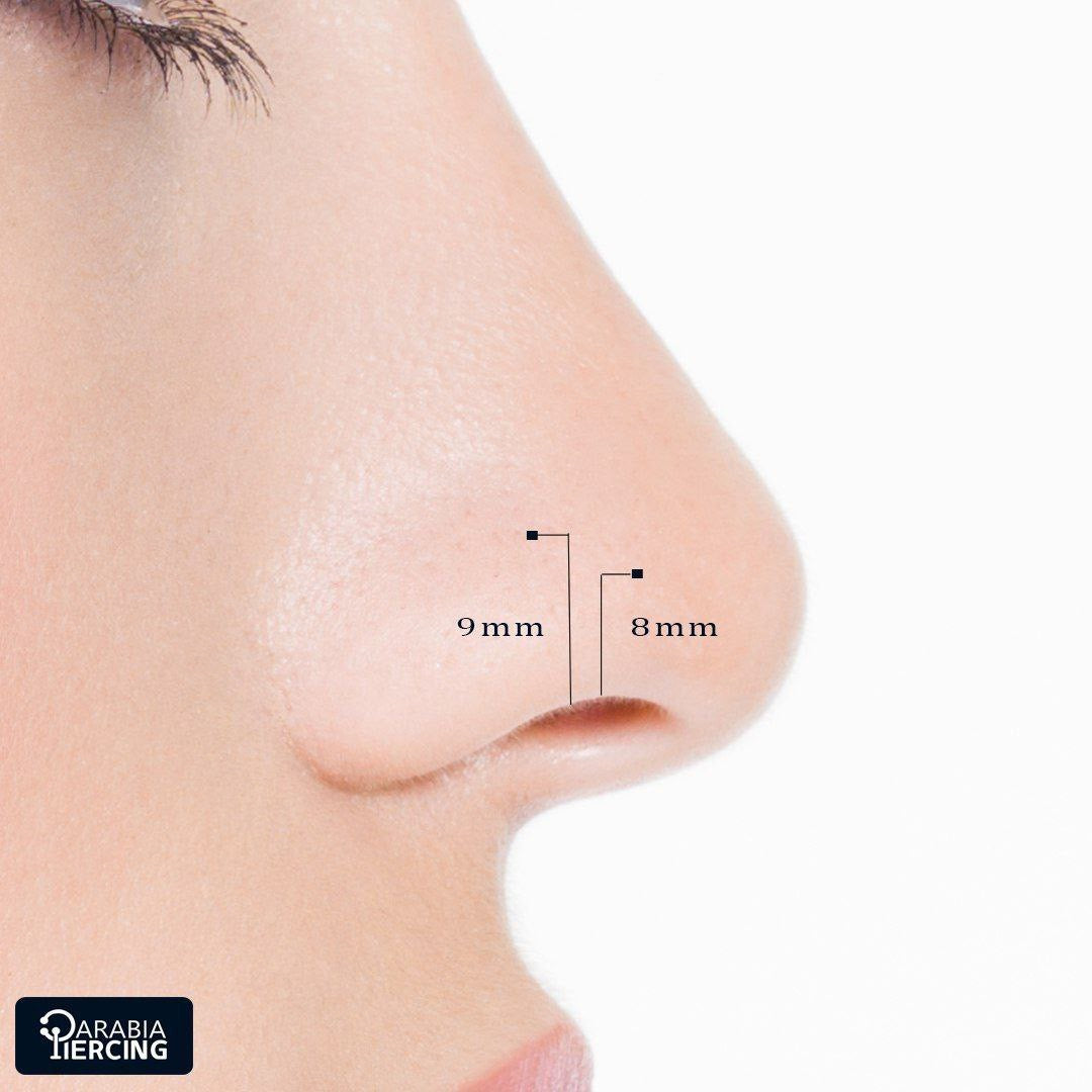 Silver nose hoop