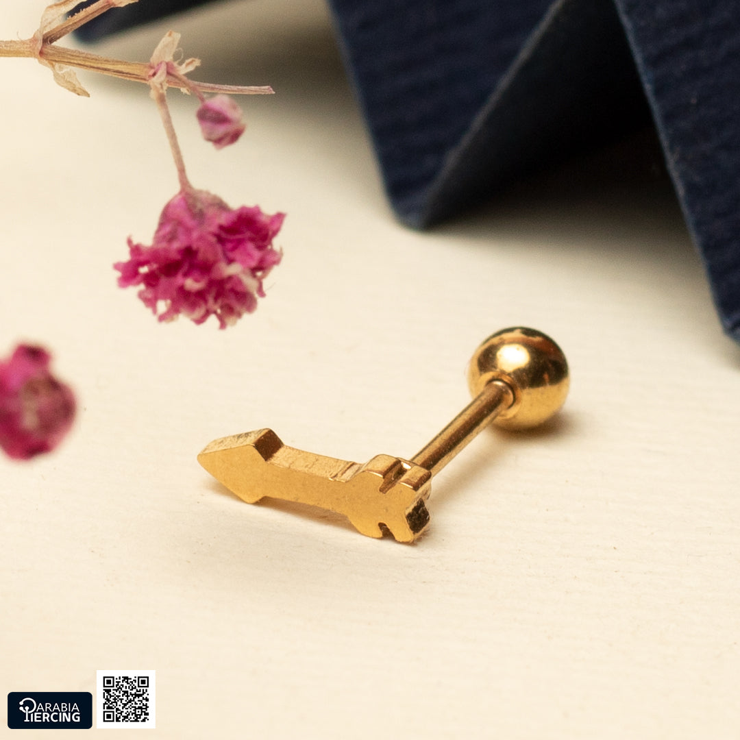 Plain Ballback Earrings