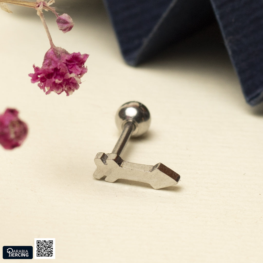 Plain Ballback Earrings