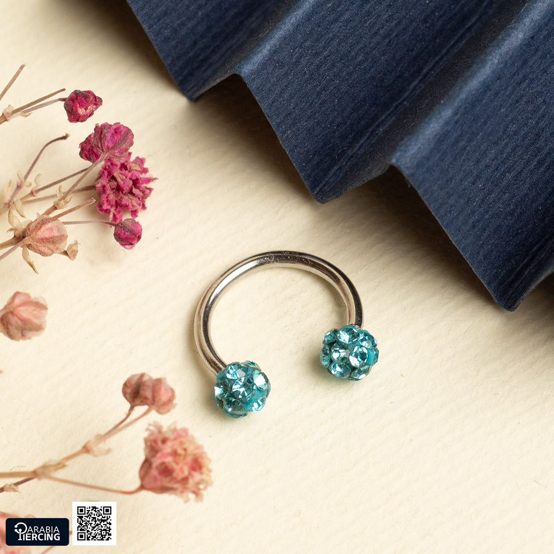 Colorful Double Discoball Horseshoe