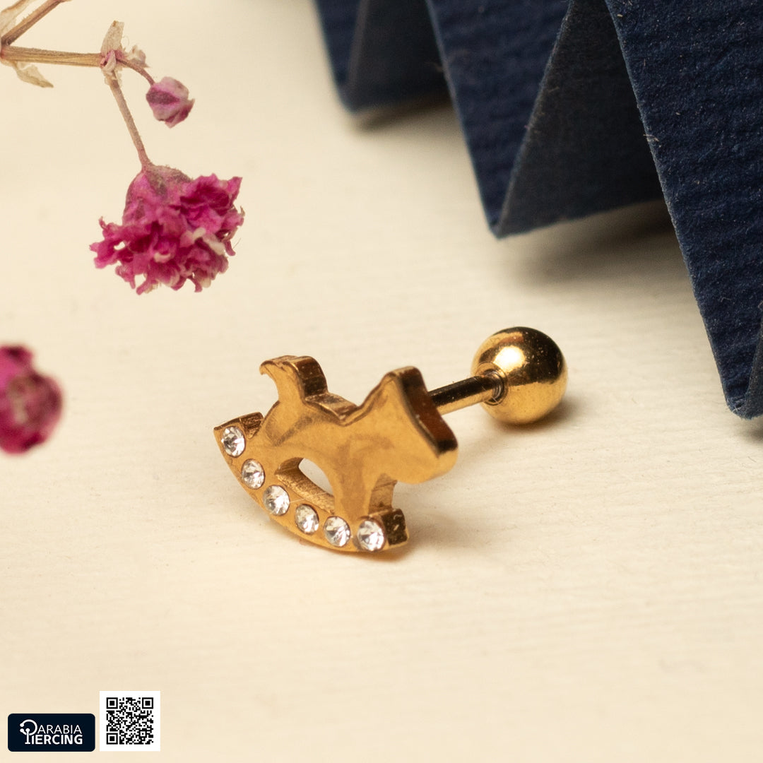 Little Horse Ballback