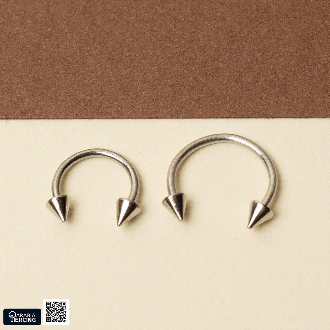Basic Silver Horseshoe