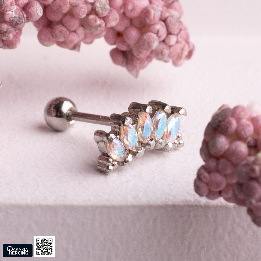 Crown Multicolor Ballback