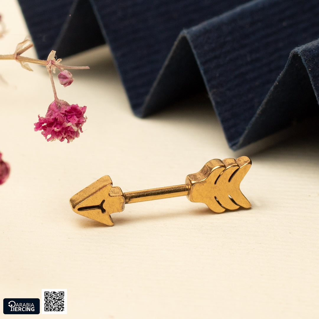 Arrow Earring