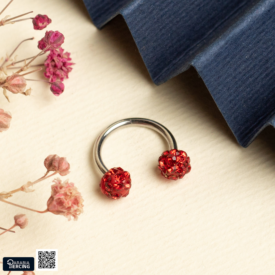 Colorful Double Discoball Horseshoe