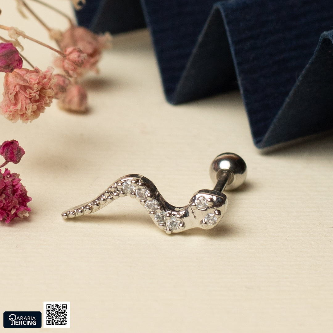 Wild Ballback Earrings