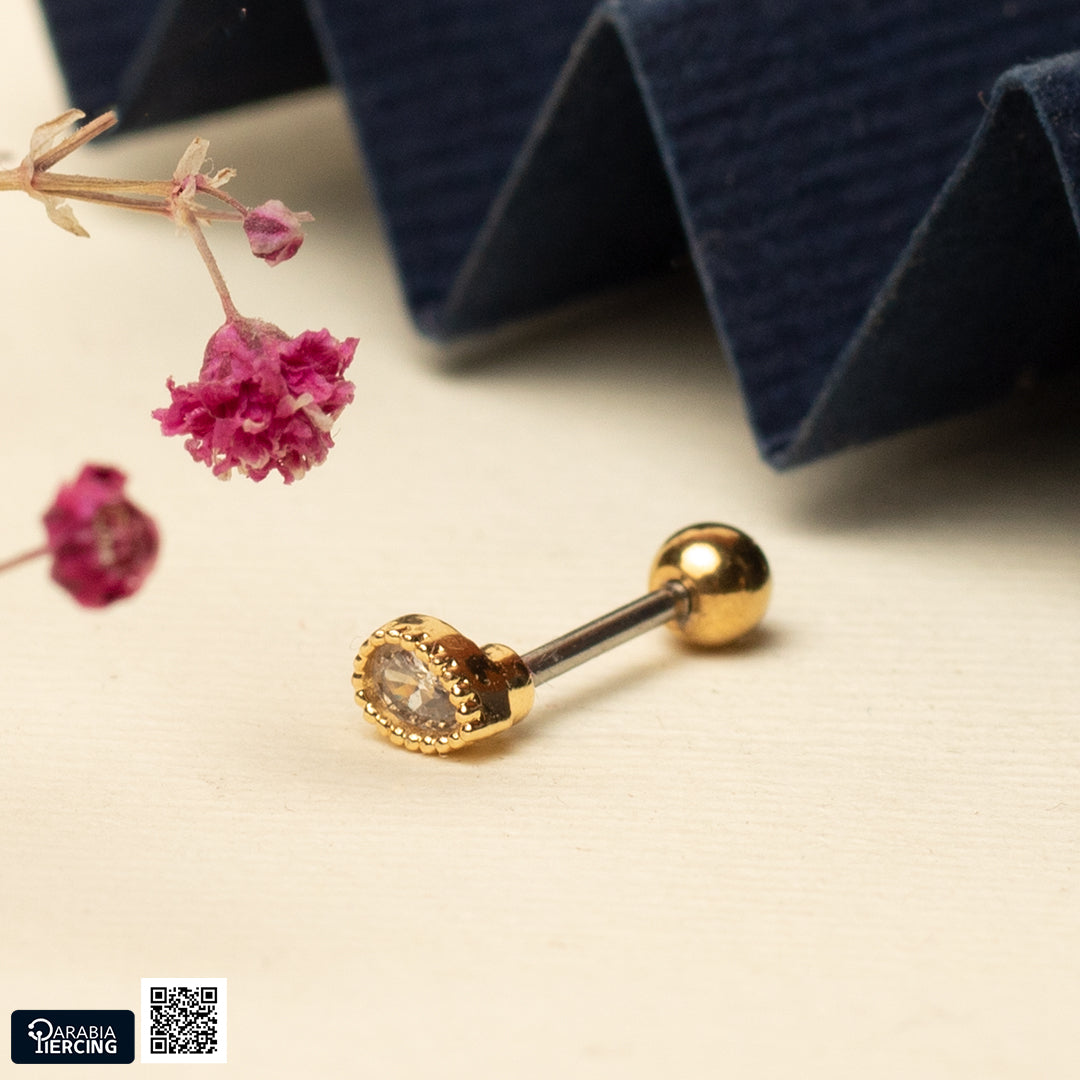 Shiny Shapes Ballback