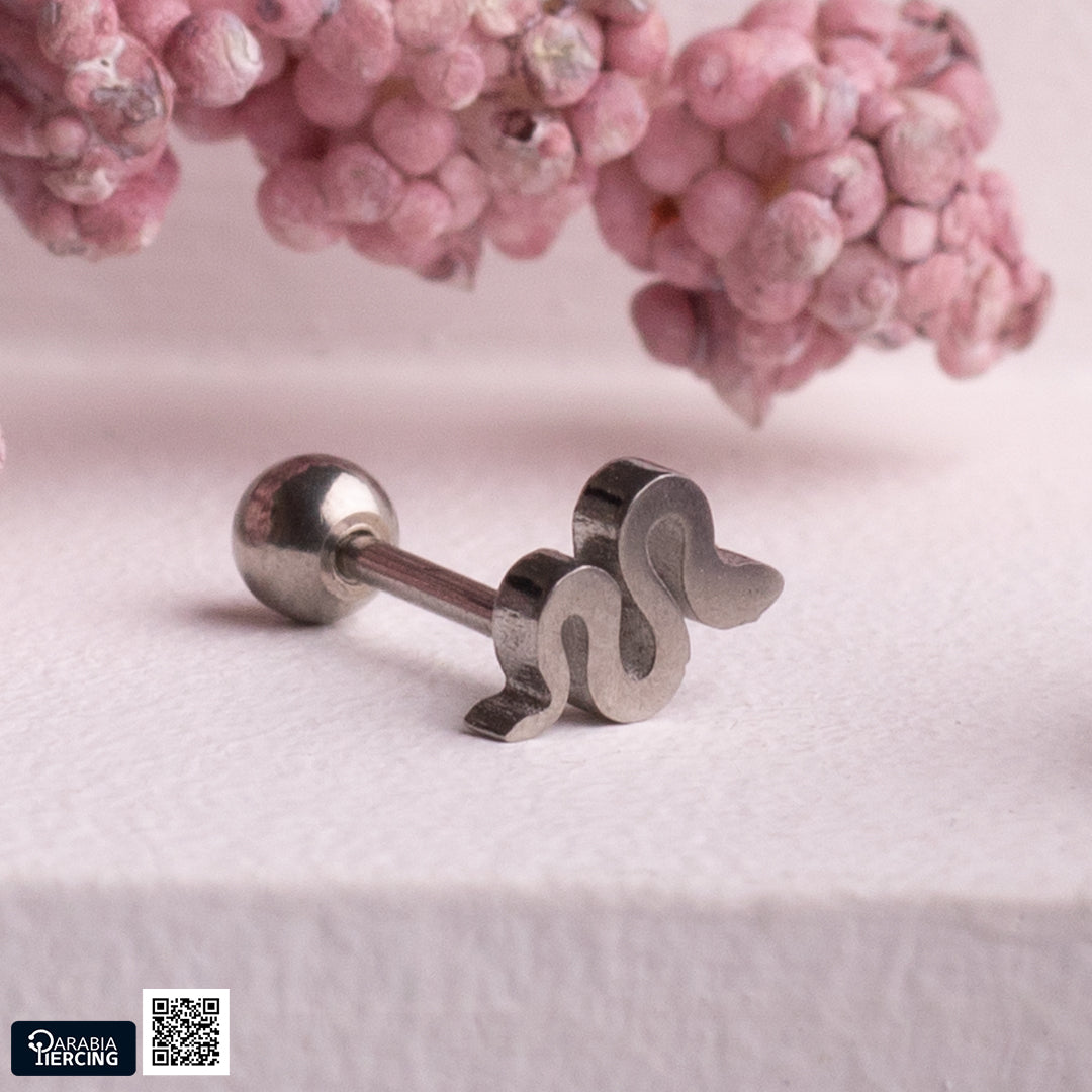 Plain Silver  Ballback Earrings