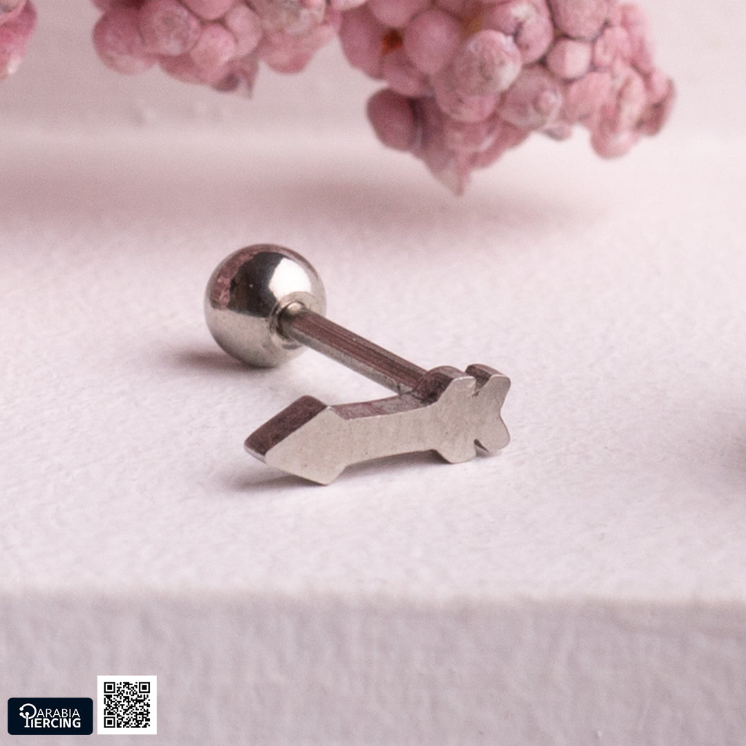Plain Silver  Ballback Earrings