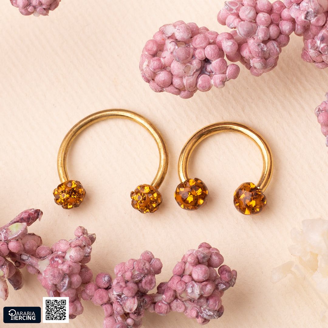 Double Discoball Horseshoe