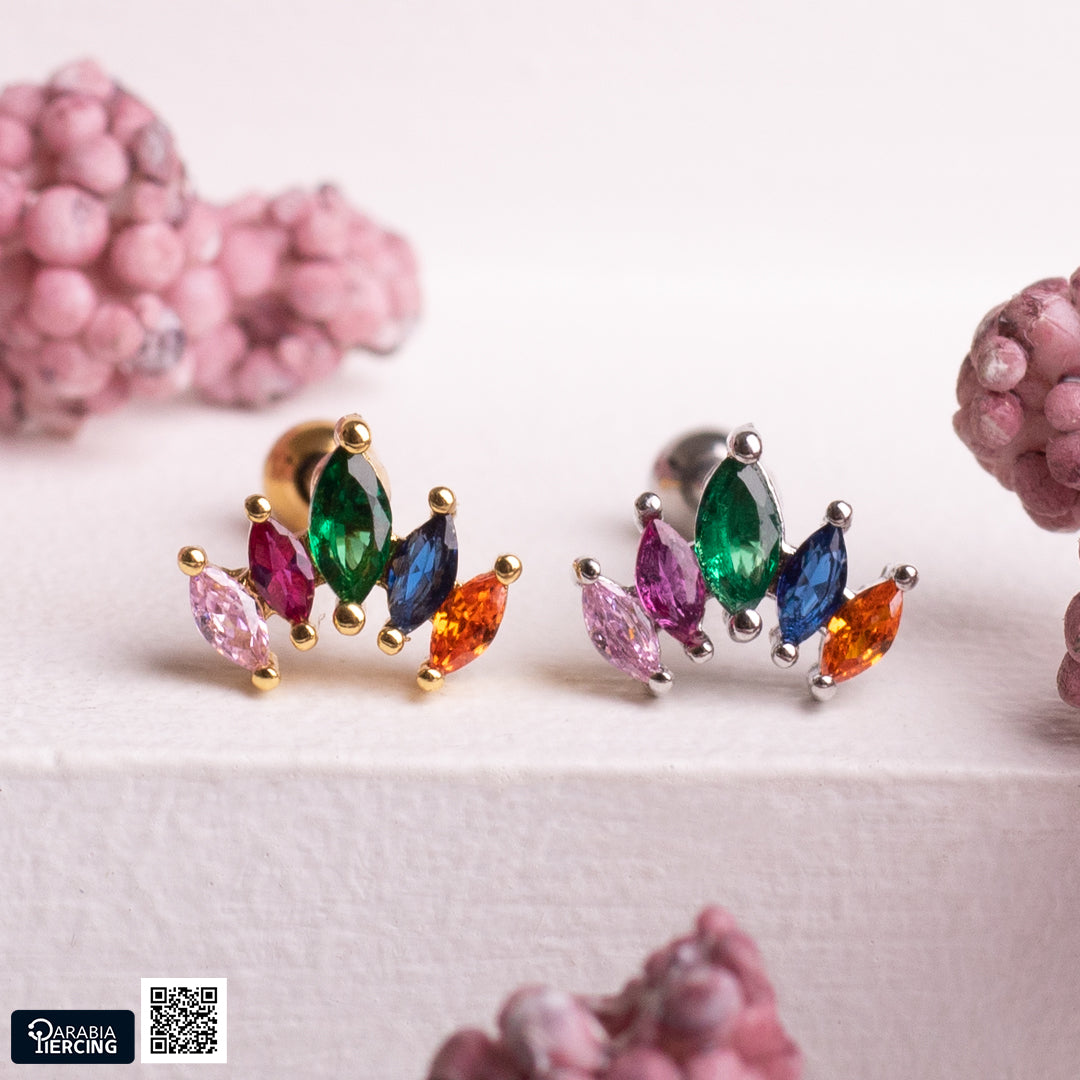 Colorful Crown Ballback