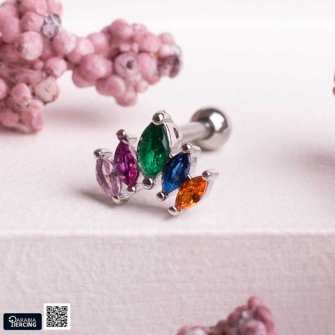 Colorful Crown Ballback