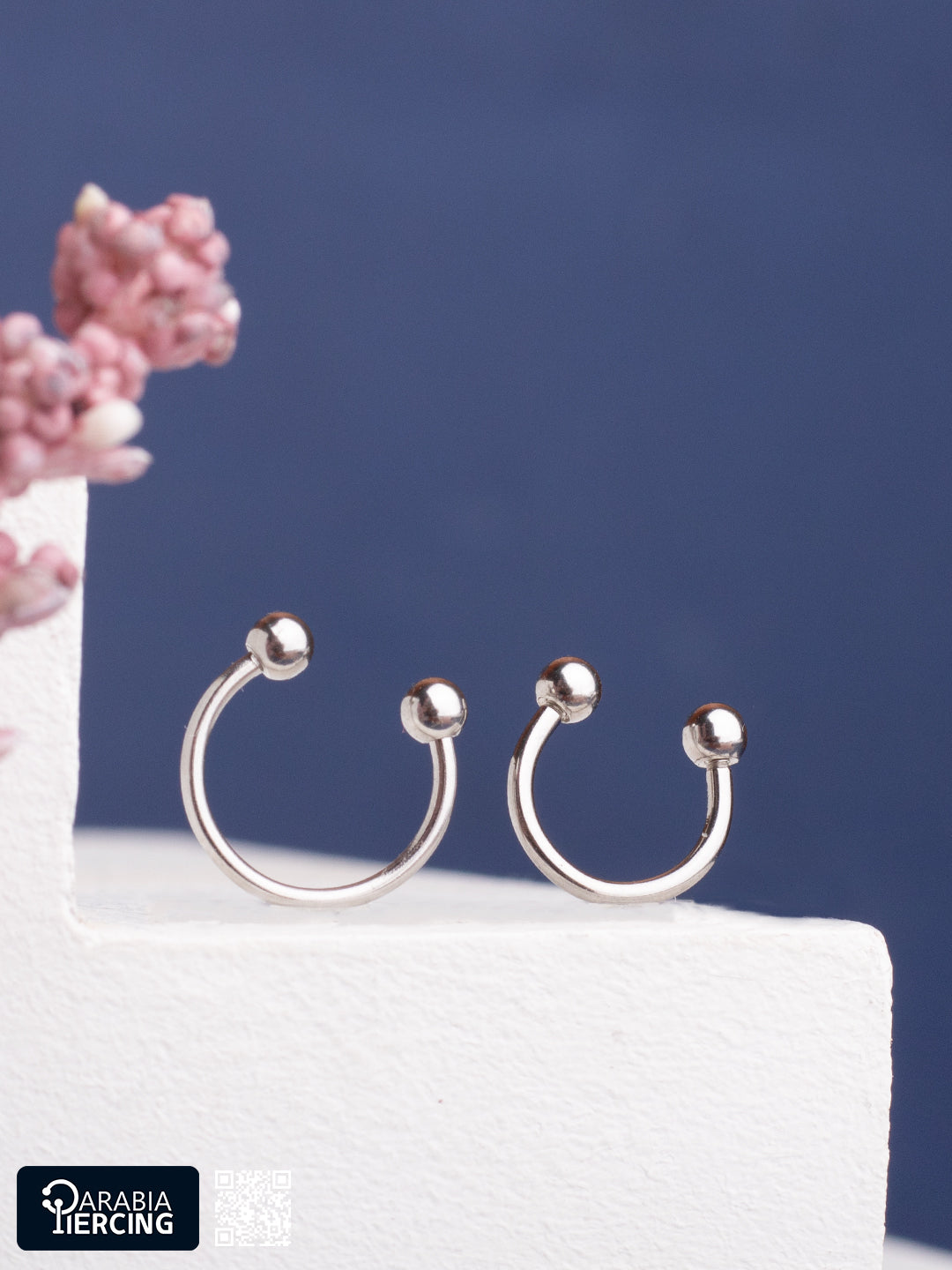 Basic Silver Horseshoe