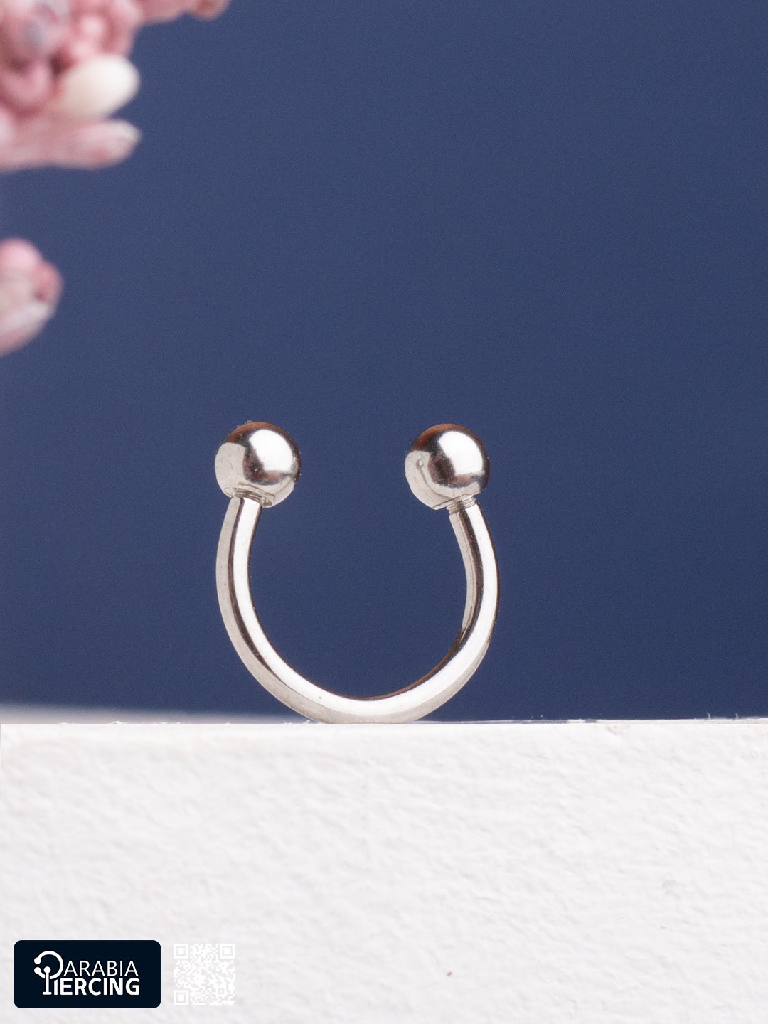 Basic Silver Horseshoe