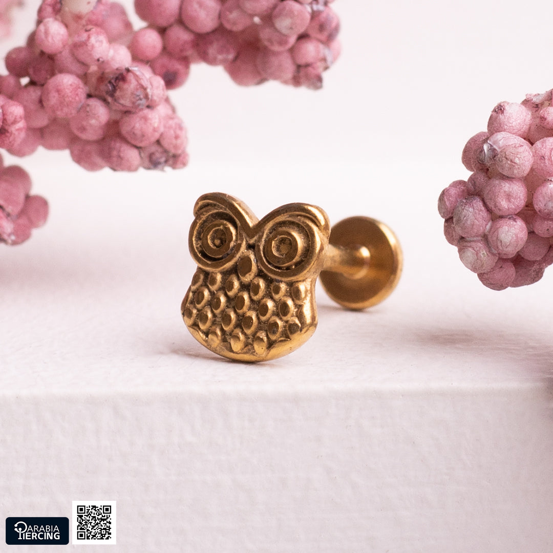 Owl and Snake Flatback