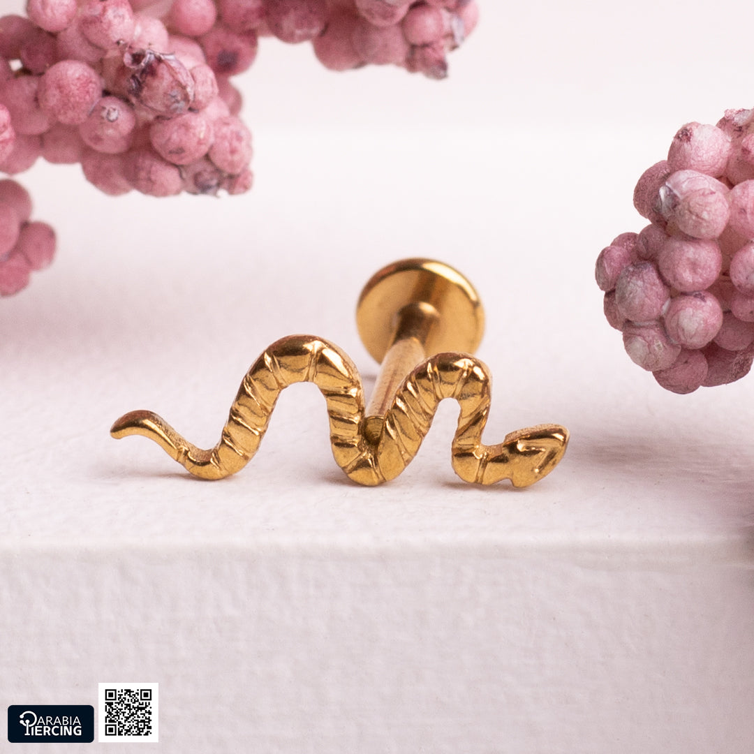 Owl and Snake Flatback